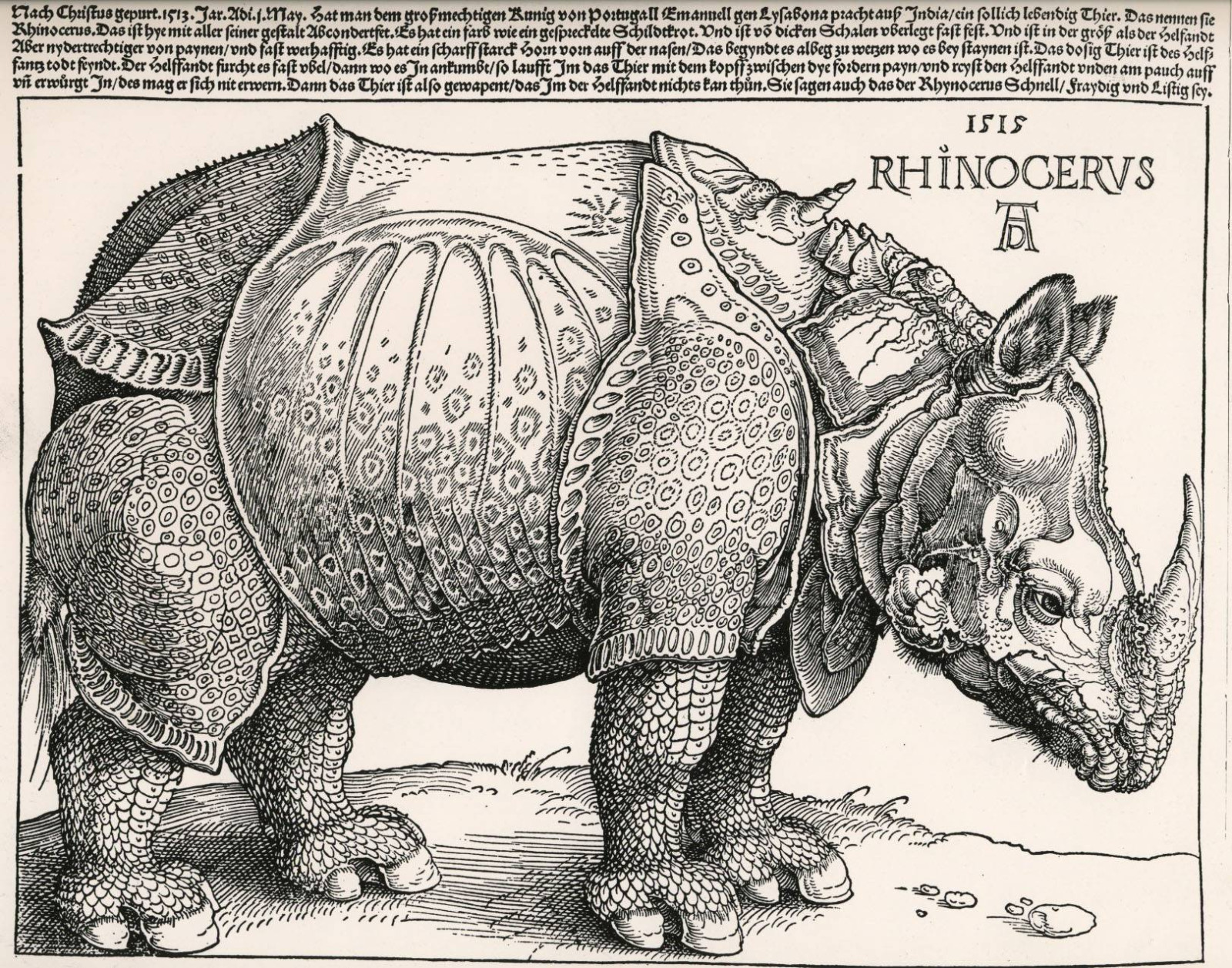 albrecht dürer,gergedan deseni