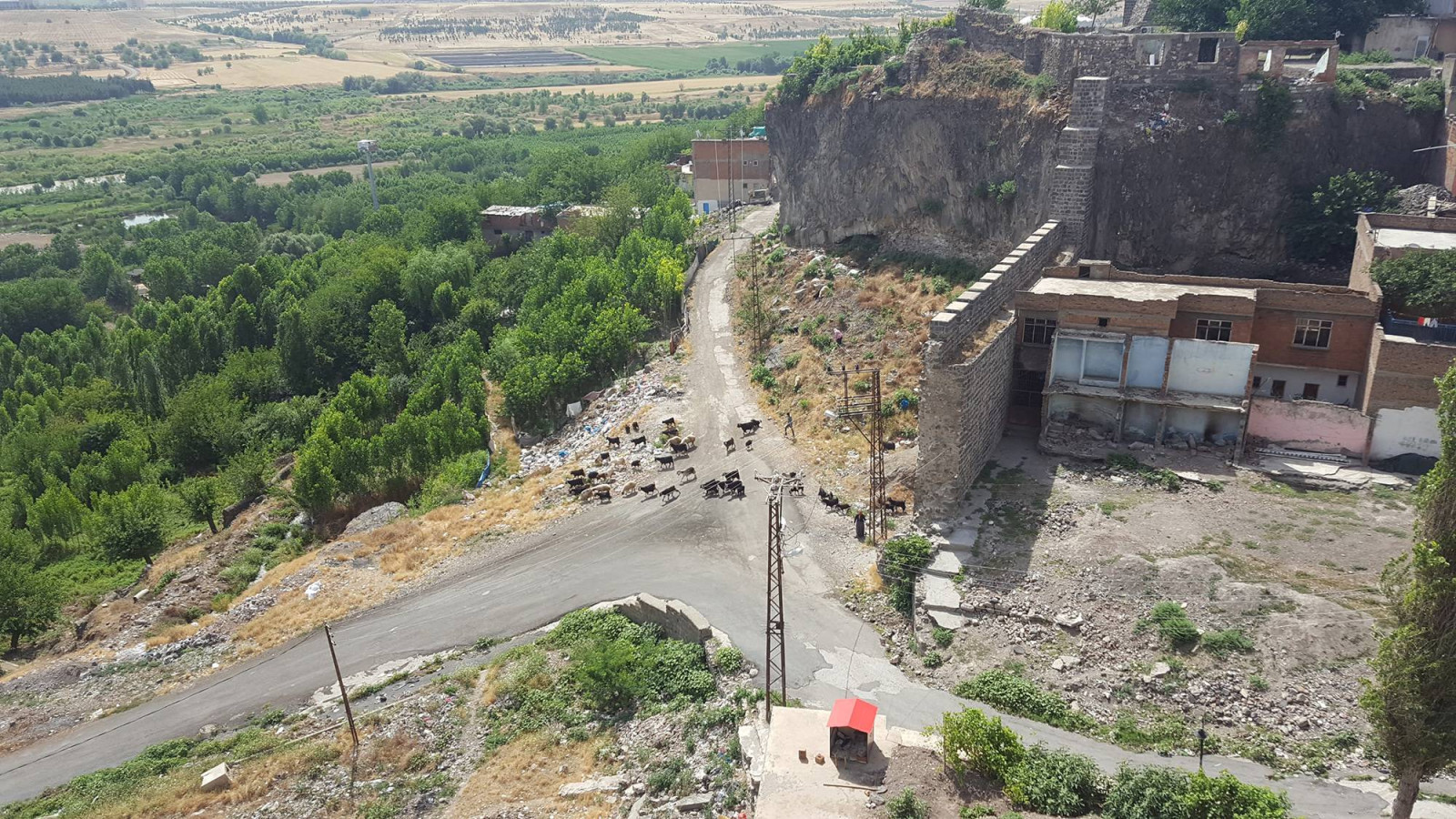 diyarbakır suriçi, yaşar adanalı