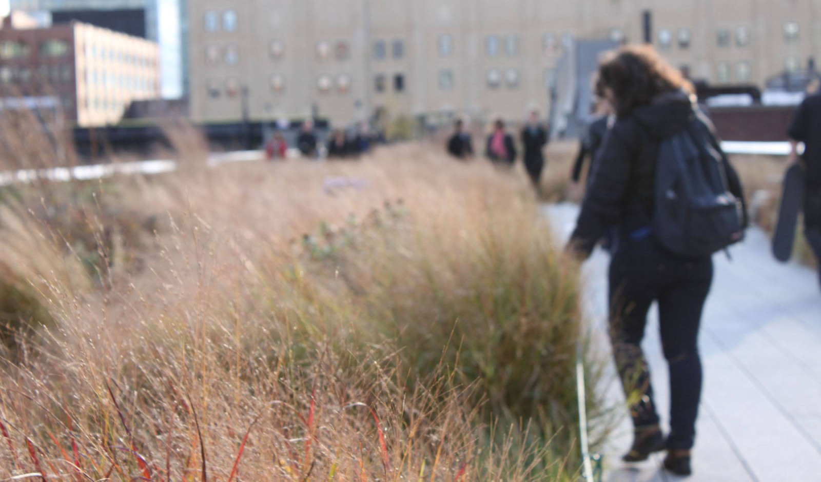 Highline, Newyork