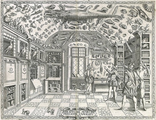 Ferranto Imperato'nun Doğa Tarihi gravürü, Napoli, 1599